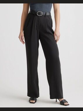Quince Black Stretch Crepe Pleated Wide-Leg Pants
